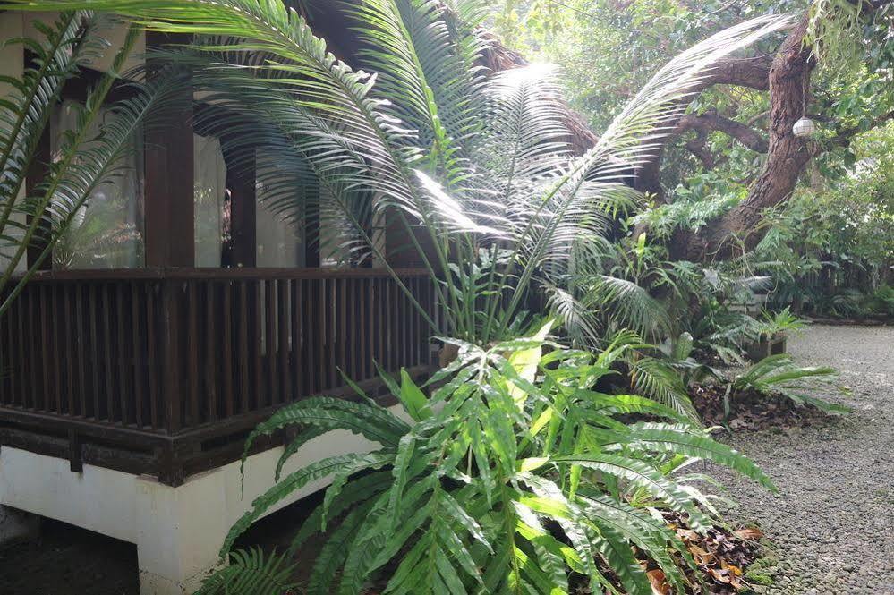 Balabag  Blue Bayou Bungalows מראה חיצוני תמונה